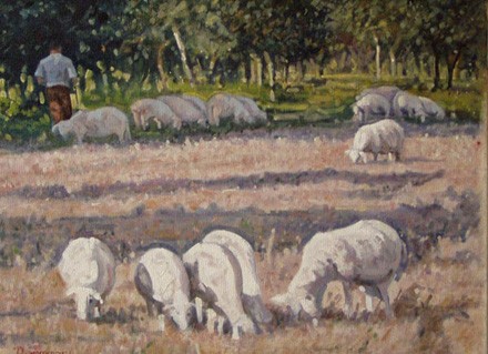 gregge 